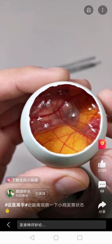 孵化视频,揭秘创业孵化器背后的精彩故事