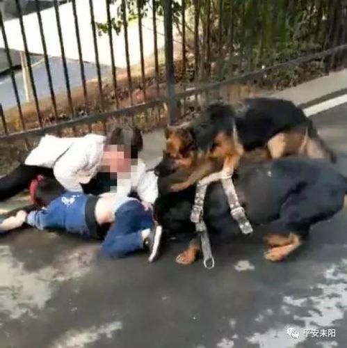 咬人视频,咬人事件视频引发社会热议