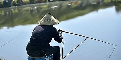 钓鱼视频下载,捕捉自然之美，尽享垂钓乐趣