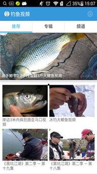 钓鱼视频下载,捕捉自然之美，尽享垂钓乐趣