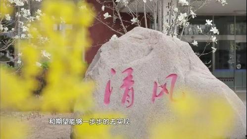 清风视频,揭秘生活百态，展现时代风采