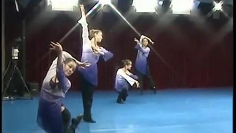 舞蹈组合视频,舞蹈组合视频魅力瞬间回顾