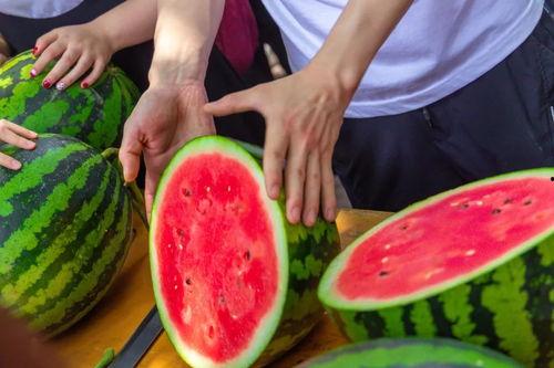 聊城今日吃瓜,瓜田里的新鲜事儿