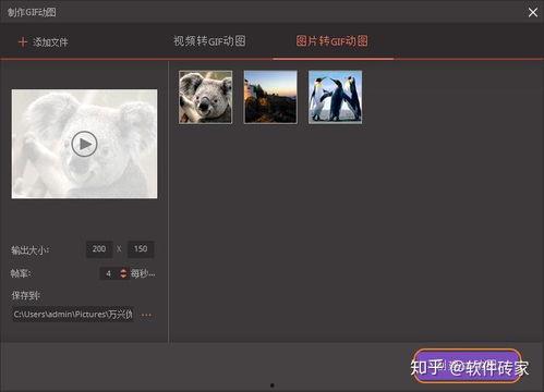 视频制作动图,精彩瞬间一网打尽
