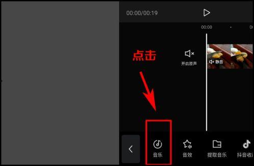 视频原声,探寻视频背后的动人旋律