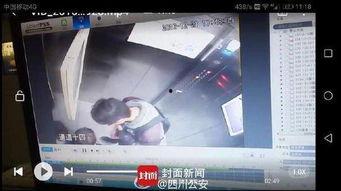 电梯里不雅视频,电梯不雅视频事件引发社会关注与反思