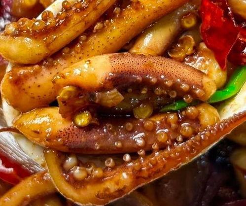 鱿鱼做法视频,跟随视频学习美味佳肴制作