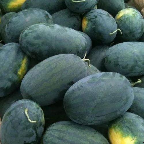 吃瓜曝光黑正能量,吃瓜曝光背后的正能量真相