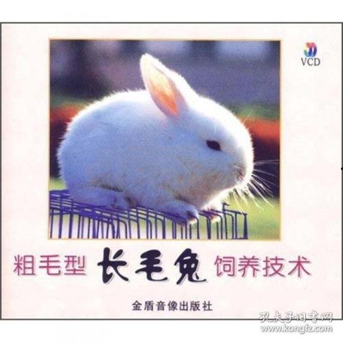 兔子怎么养视频,从新手到专家的养兔教程
