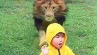 搞笑动物视频,笑到肚子疼！