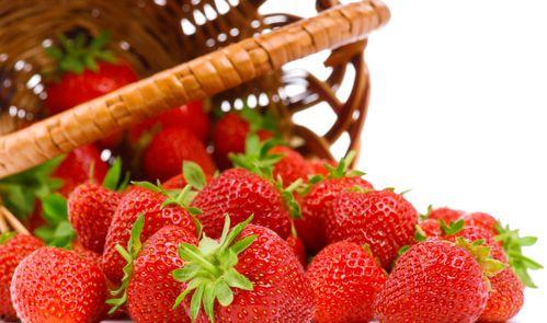 草莓视频,带你领略短视频的魅力与创意