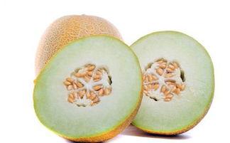 大黑吃哈密瓜,一场甜蜜的美食冒险