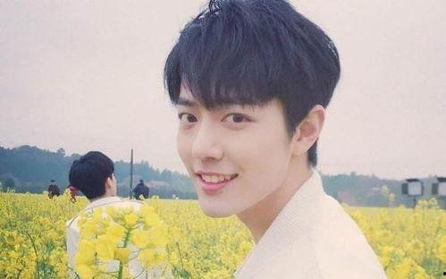 爆料吃瓜杨紫肖战是真的吗,是真是假，吃瓜群众热议不断