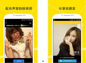 拍视频软件,拍视频软件深度解析