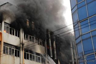 火灾现场烧死人视频