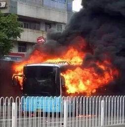 火灾现场烧死人视频