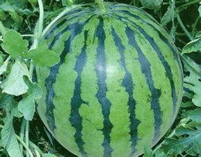 今日份瓜供应,揭秘娱乐圈最新热点事件