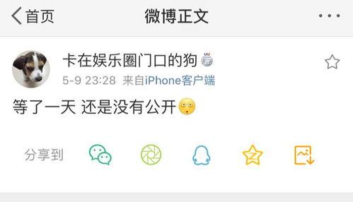 吃瓜猜爆料是什么,娱乐圈幕后真相大曝光