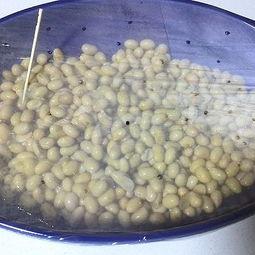 纳豆制作方法视频教程,一招掌握传统美味发酵工艺