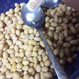 纳豆制作方法视频教程,一招掌握传统美味发酵工艺