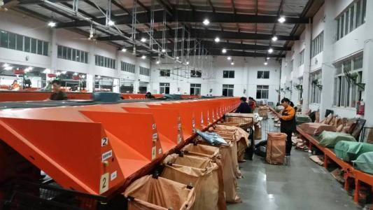 快递分拣员干活视频,揭秘快递分拣背后的辛勤汗水