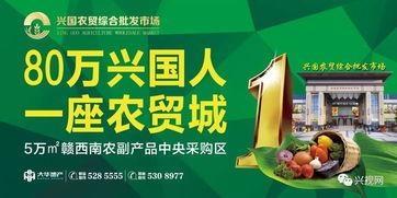 兴国新闻视频直播,实时直播，全景呈现兴国发展新动态